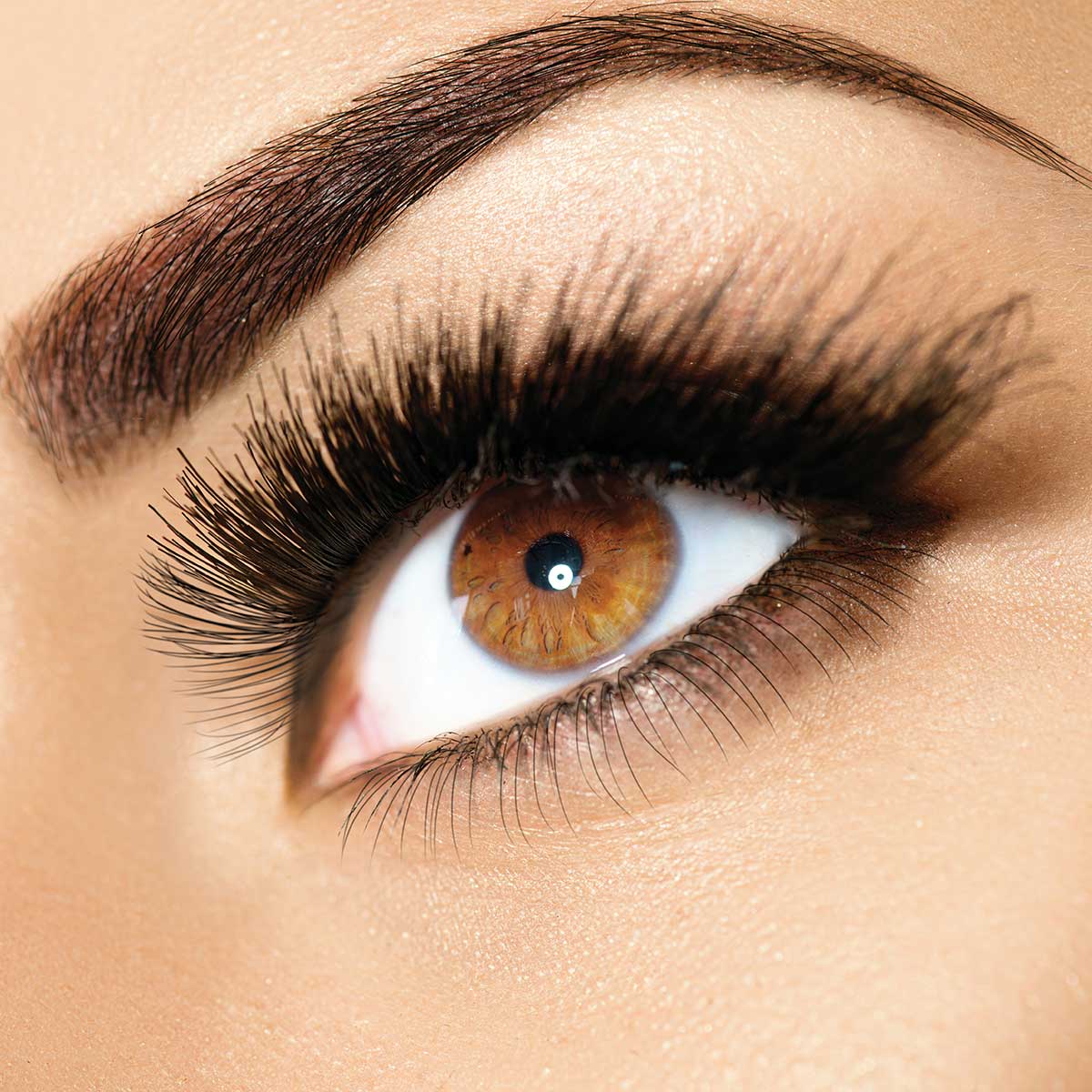 eyelash eyebrow tint